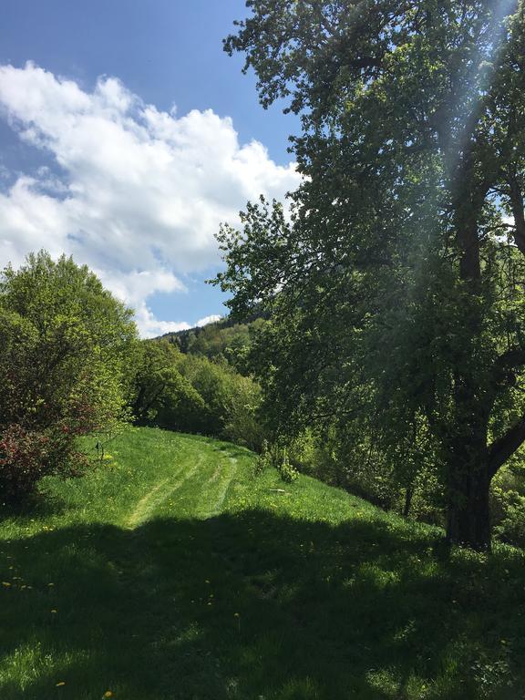 Ferienhaus Hochbrand Rabenstein Dış mekan fotoğraf